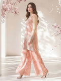2-piece-poly-net-suit--embroidered-(pret)