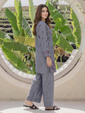 2-piece-yarn-dyed-suit--embroidered-(pret)