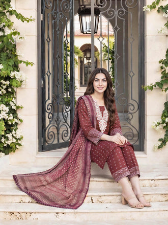 3-piece-cambric-suit--embroidered-(pret)