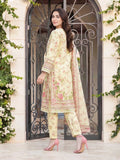 3-piece-lawn-suit-(pret)