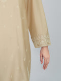2-piece-silk-suit--embroidered-(pret)