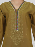 2-piece-lawn-suit--embroidered-(pret)