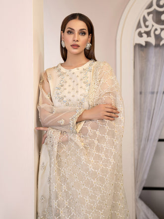 3-piece-organza-suit-embroidered(pret)