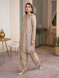 3-piece-net-suit-embroidered(pret)