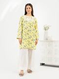 cambric-kurti-embroidered-(pret)