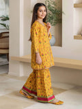 2-piece-lawn-suit--embroidered-(pret)